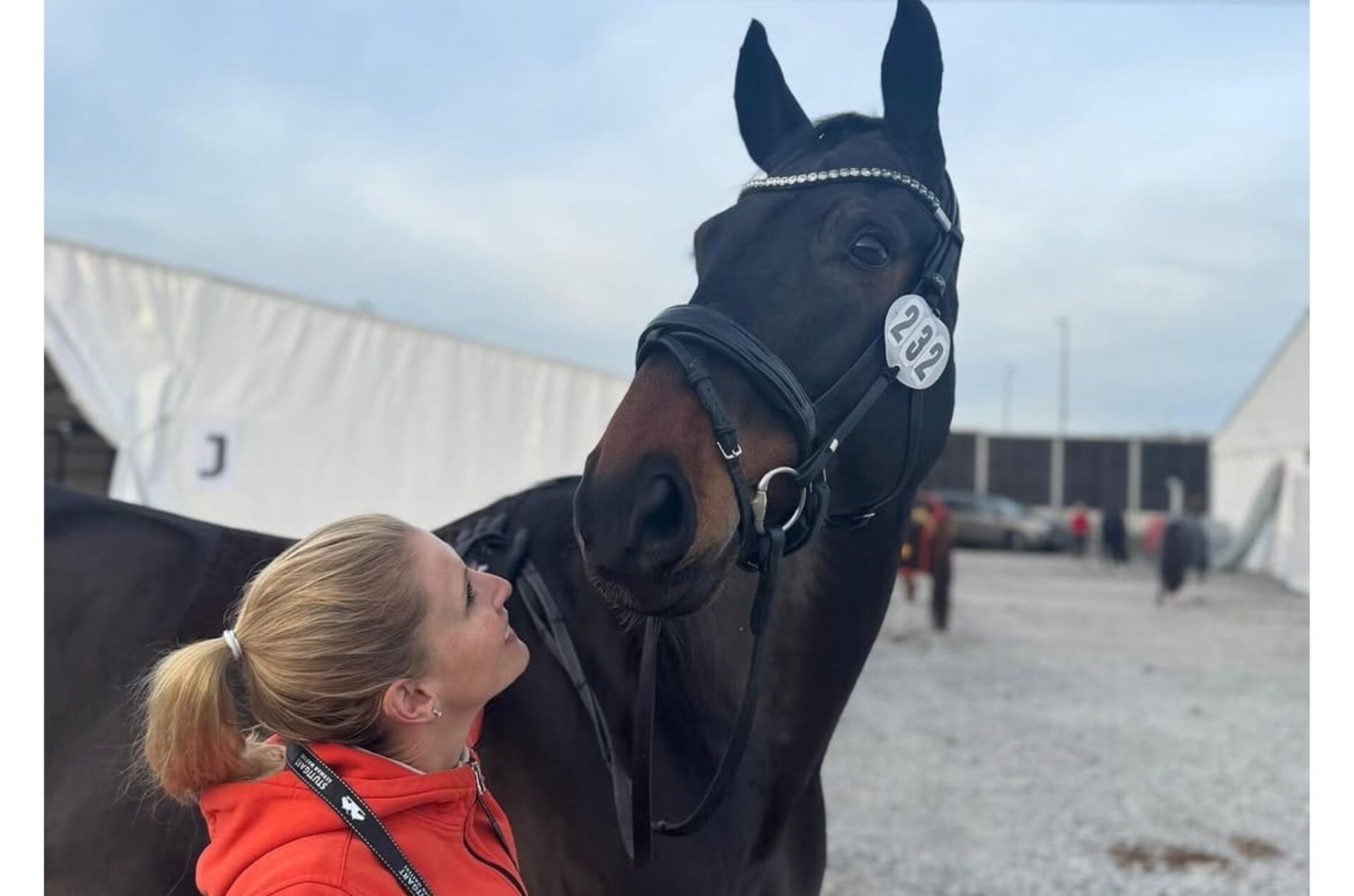 Bornavirus equino: il nemico invisibile che ha spezzato la carriera di Diallo