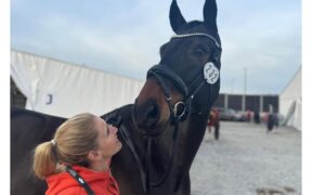 Bornavirus equino: il nemico invisibile che ha spezzato la carriera di Diallo