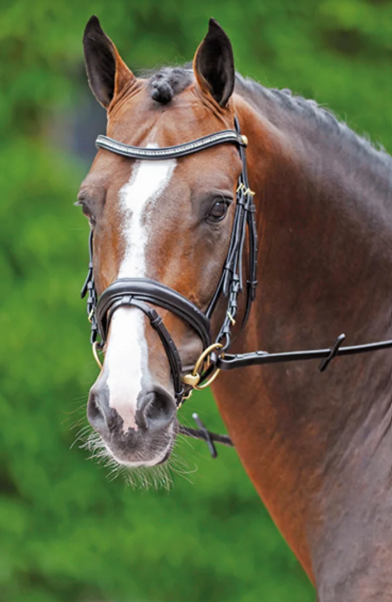 Casiro I (Casiro 3) 1