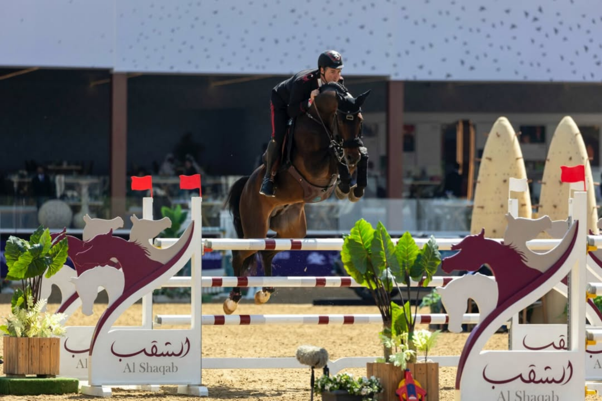 CSI4* Doha: un altro primo posto per Emanuele Gaudiano