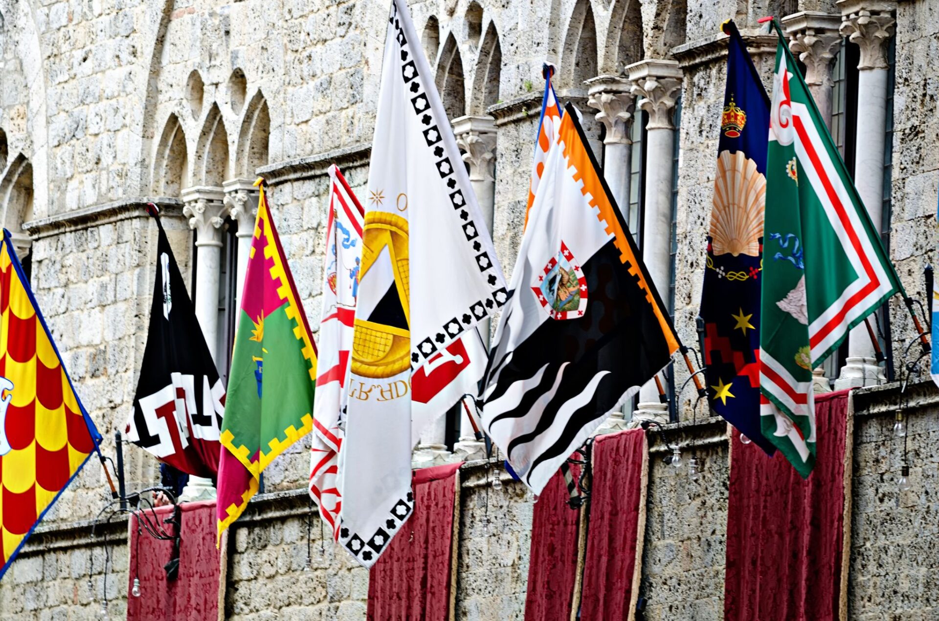 Dal 2026 anche i cavalli da Palio entrano nel Registro Cavalli Sportivi: cosa significa? 1