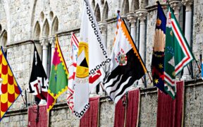 Dal 2026 anche i cavalli da Palio entrano nel Registro Cavalli Sportivi: cosa significa? 1