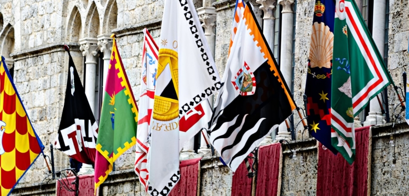 Dal 2026 anche i cavalli da Palio entrano nel Registro Cavalli Sportivi: cosa significa? 1