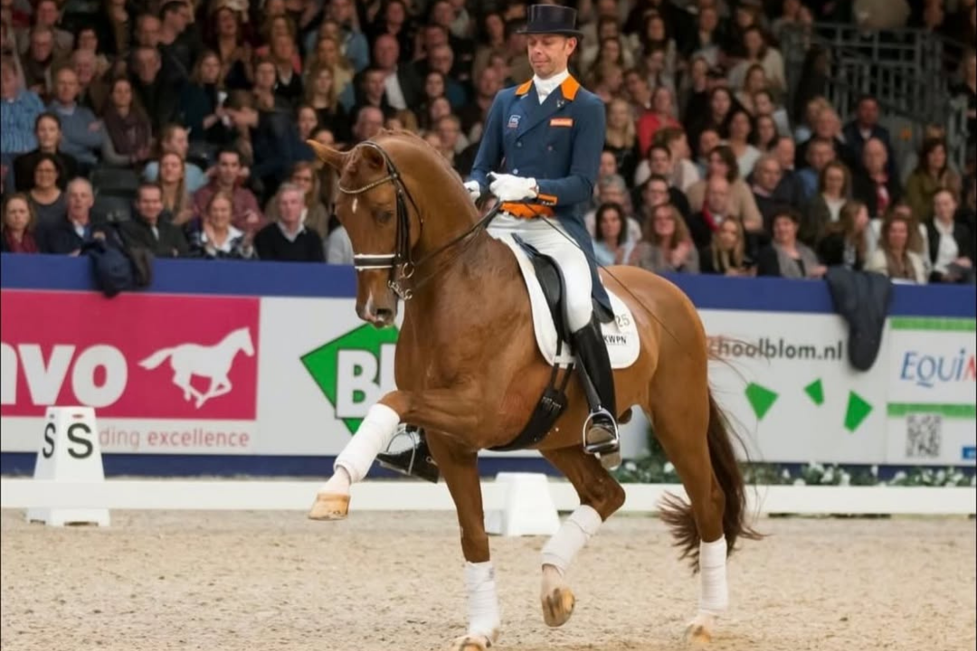 Dressage: Vivaldi premiato cavallo dell’anno 2025