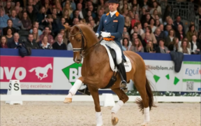 Dressage: Vivaldi premiato cavallo dell’anno 2025