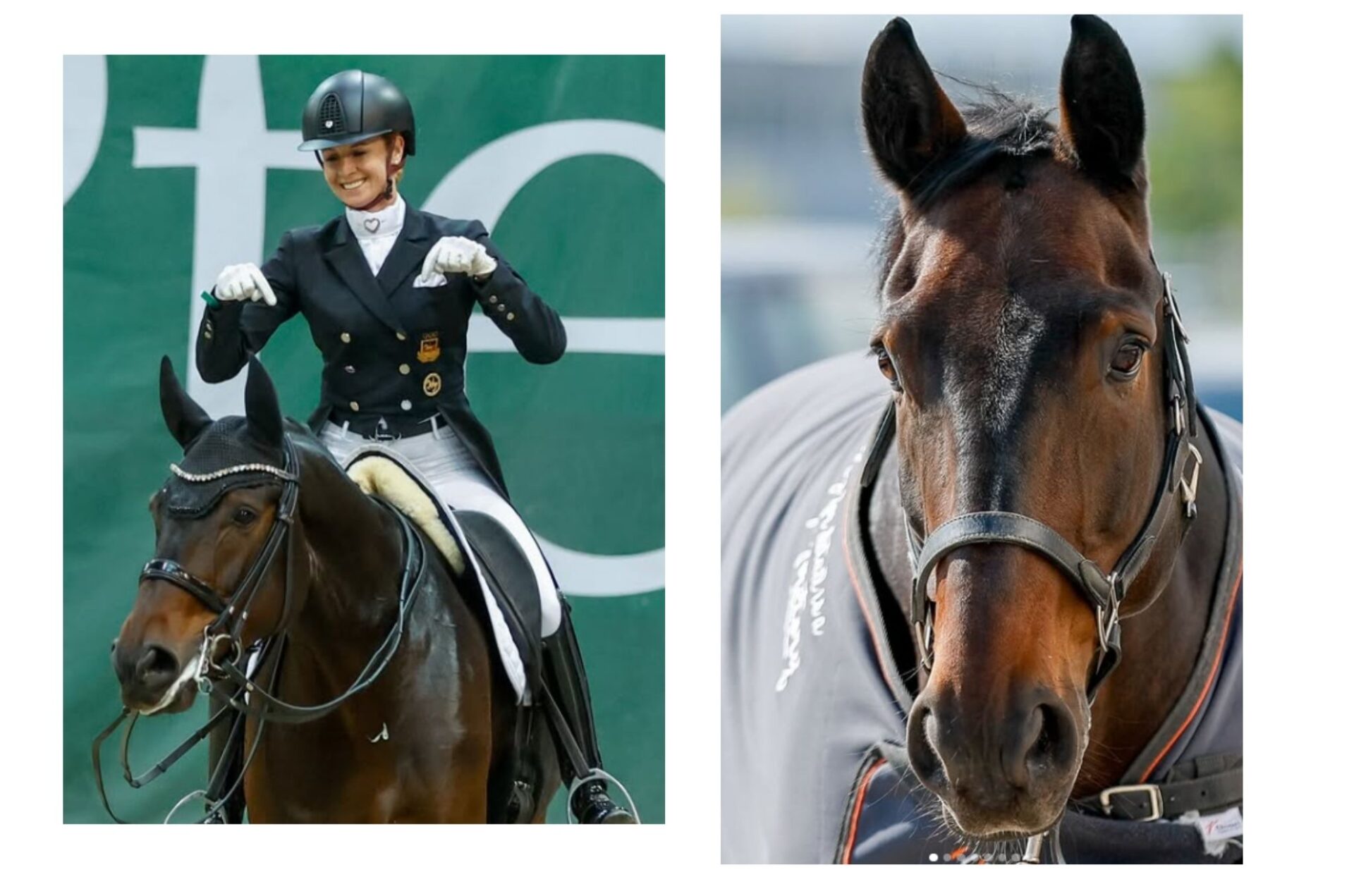 E' mancato improvvisamente Diallo (11) di Jessica von Bredow-Werndl