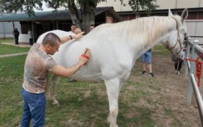 Fieracavalli-Corte Molon: 10 anni per il progetto reinserimento detenuti