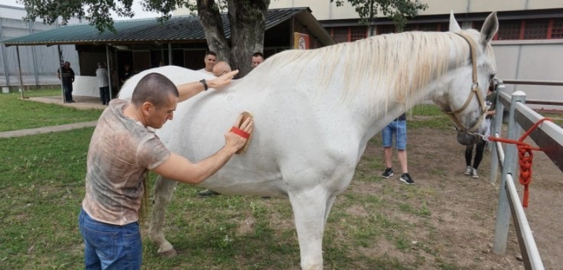 Fieracavalli-Corte Molon: 10 anni per il progetto reinserimento detenuti