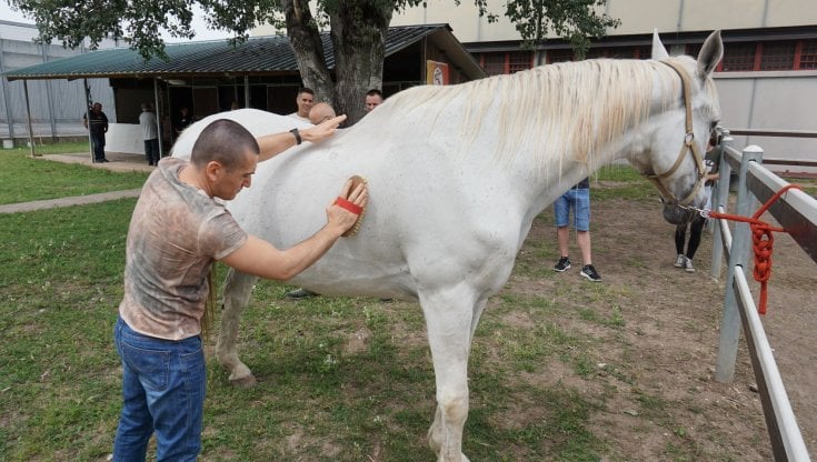 Fieracavalli-Corte Molon: 10 anni per il progetto reinserimento detenuti
