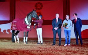 Floricello proclamato stallone d'élite DSP (Deutsches Sportpferd)