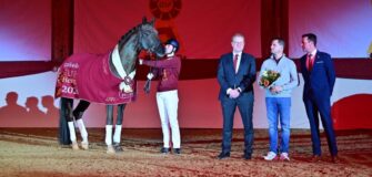 Floricello proclamato stallone d'élite DSP (Deutsches Sportpferd)