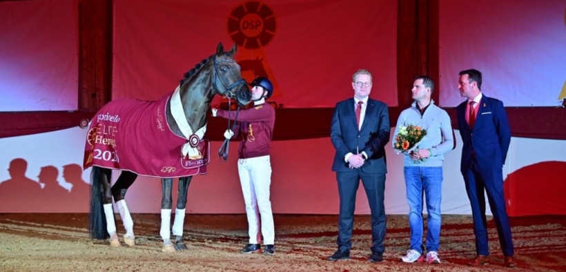 Floricello proclamato stallone d'élite DSP (Deutsches Sportpferd)
