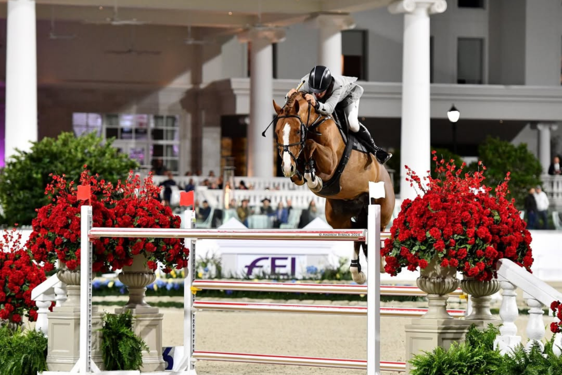 Grand Prix Internazionali: ecco i podi (# week 03)