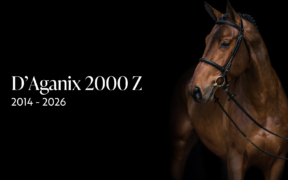 Il mondo equestre piange D'Aganix 2000 Z