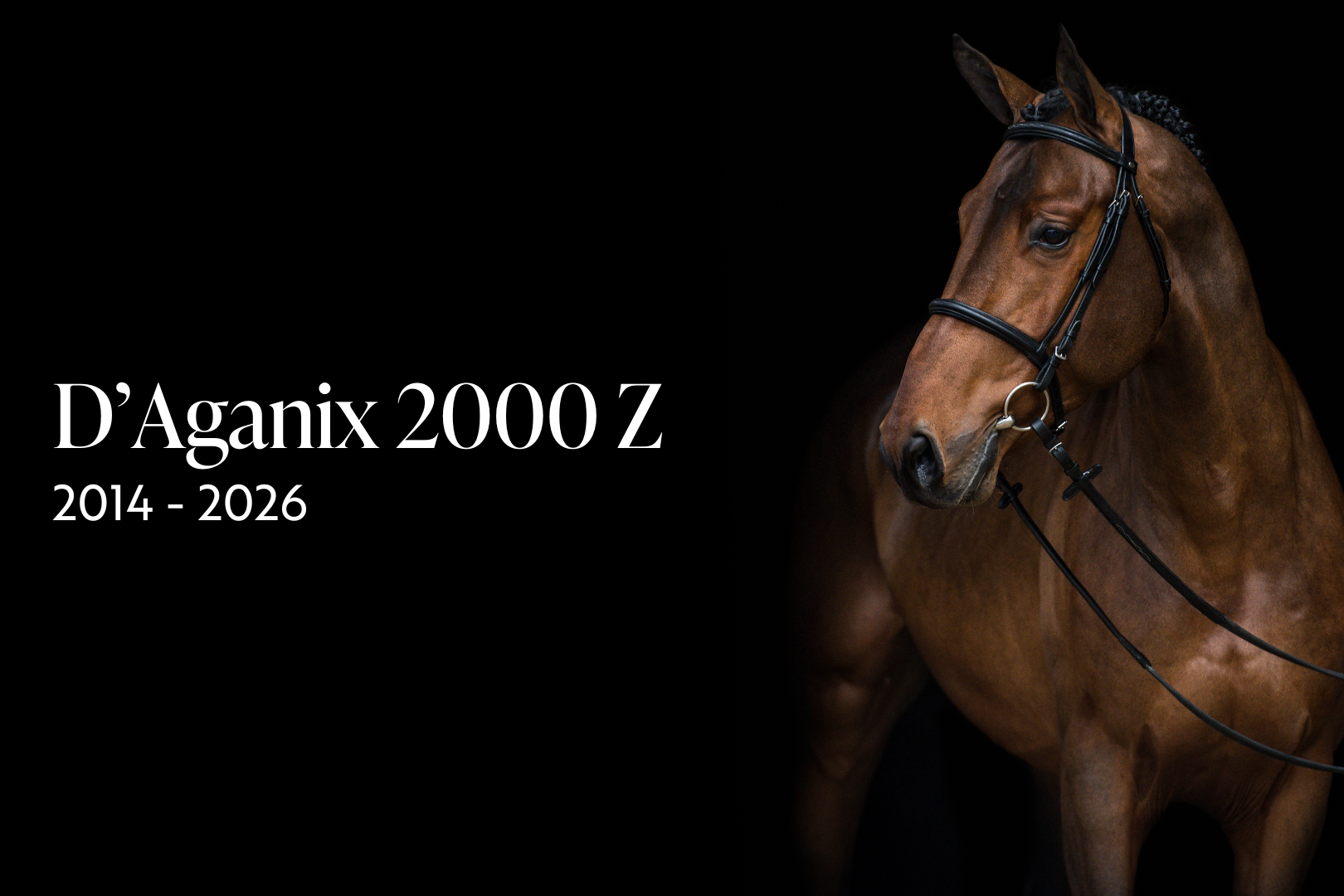 Il mondo equestre piange D'Aganix 2000 Z