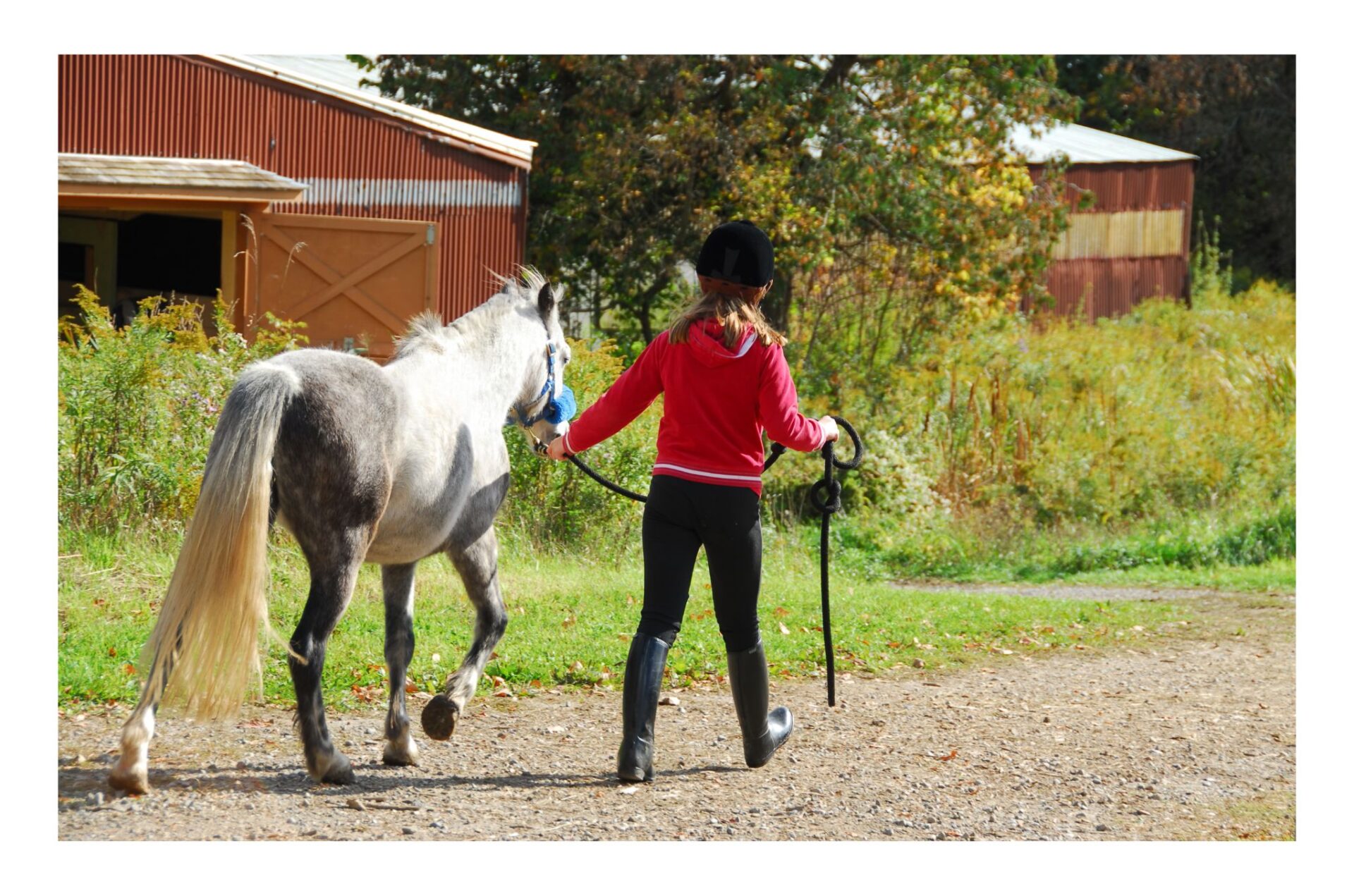 La Federazione Svedese vieta ai minori di 13 anni di gareggiare nelle categorie "élite"