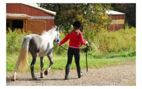 La Federazione Svedese vieta ai minori di 13 anni di gareggiare nelle categorie "élite"