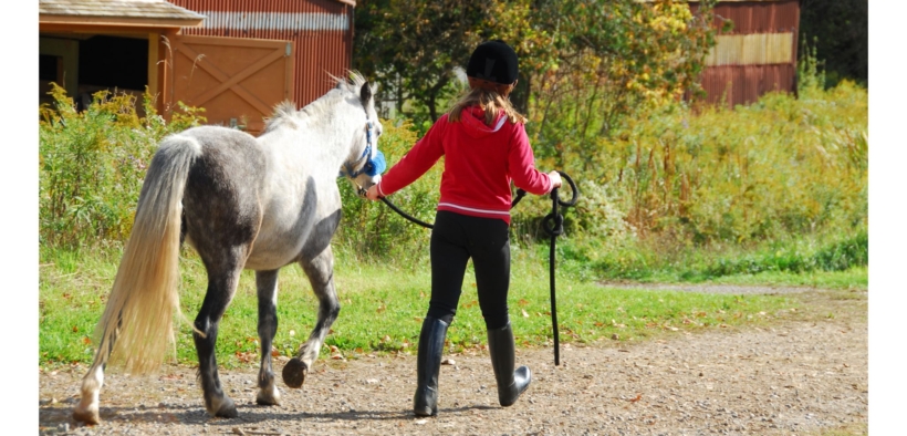 La Federazione Svedese vieta ai minori di 13 anni di gareggiare nelle categorie "élite"