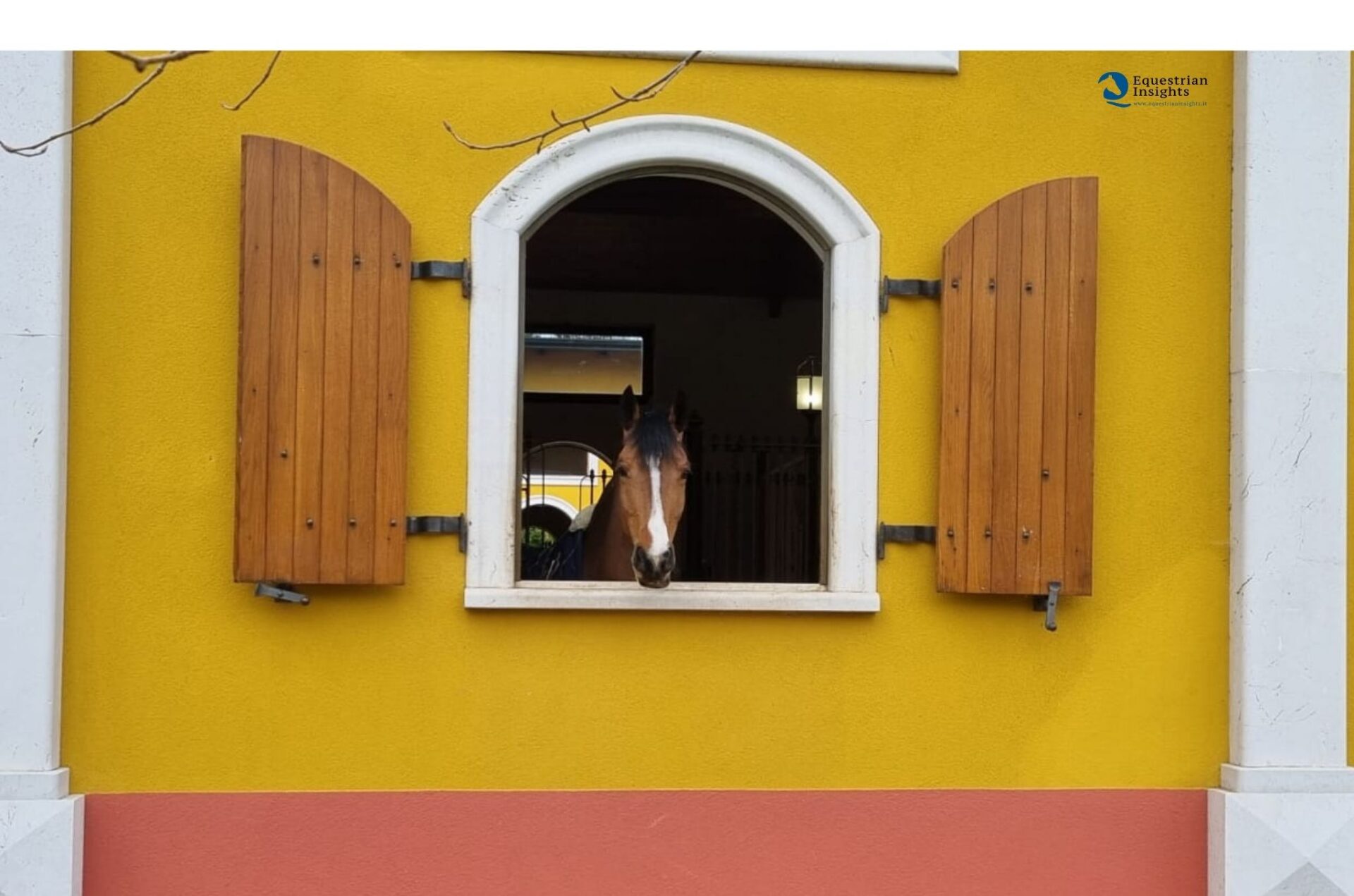 L'arrivo di un nuovo cavallo: alcune indicazioni su basi tecniche e relazionali