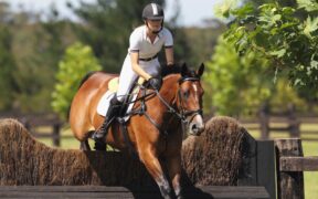 Pass per cavallo atleta, specifiche da FISE