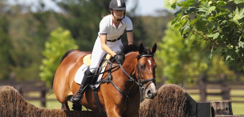 Pass per cavallo atleta, specifiche da FISE