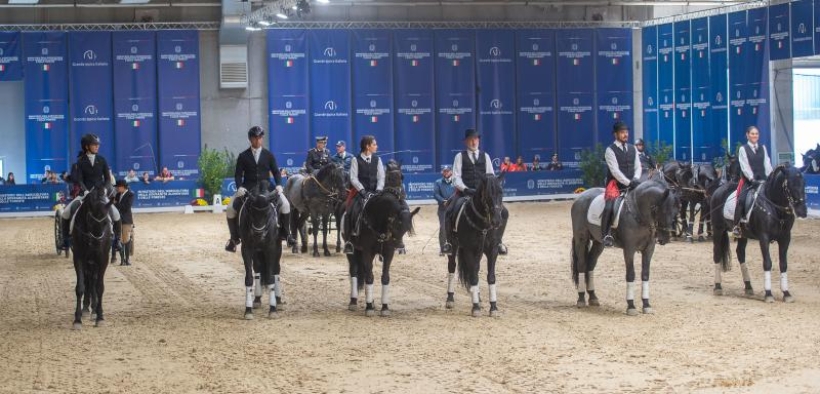 Radici semplici, futuro solido: il cavallo Murgese oggi