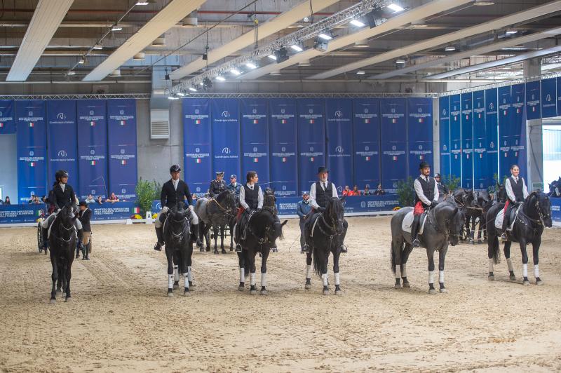 Radici semplici, futuro solido: il cavallo Murgese oggi