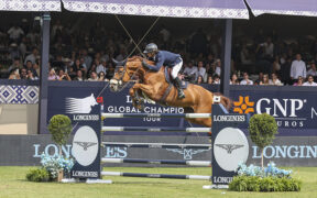 Salto ostacoli azzurro, un 2025 di premi e traguardi