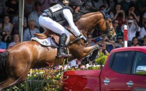 Addio a La Biosthetique-Sam FBW: muore il cavallo da completo che ha cambiato la storia con M. Jung