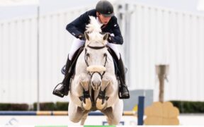 Andrea e Riccardo Pisani in evidenza nel CSI4* di Vejer de la Frontera