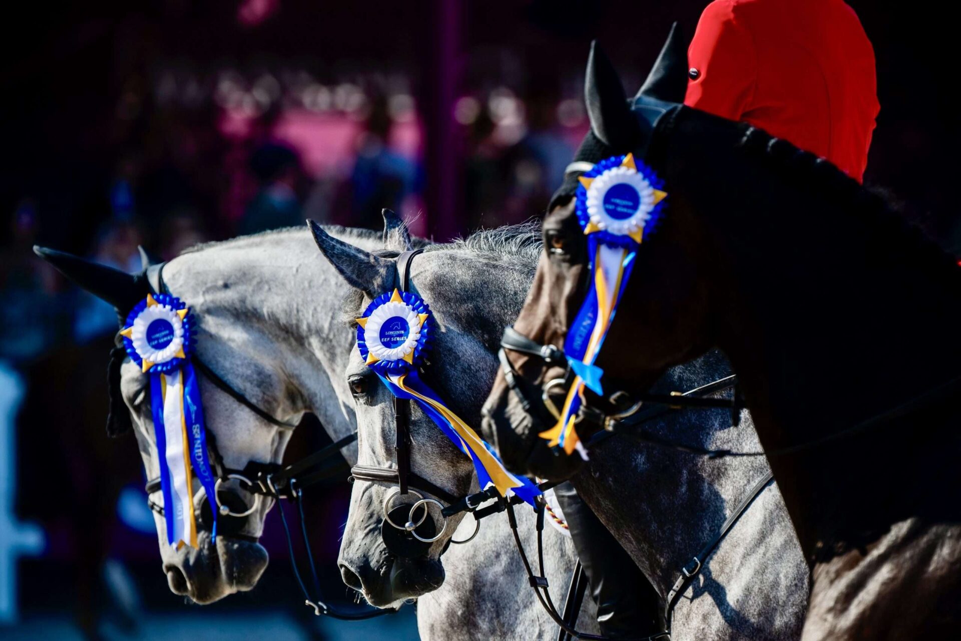 Avenches confermata come location della Finale EEF anche nel 2027