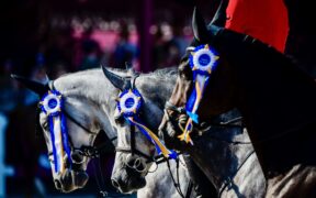 Avenches confermata come location della Finale EEF anche nel 2027