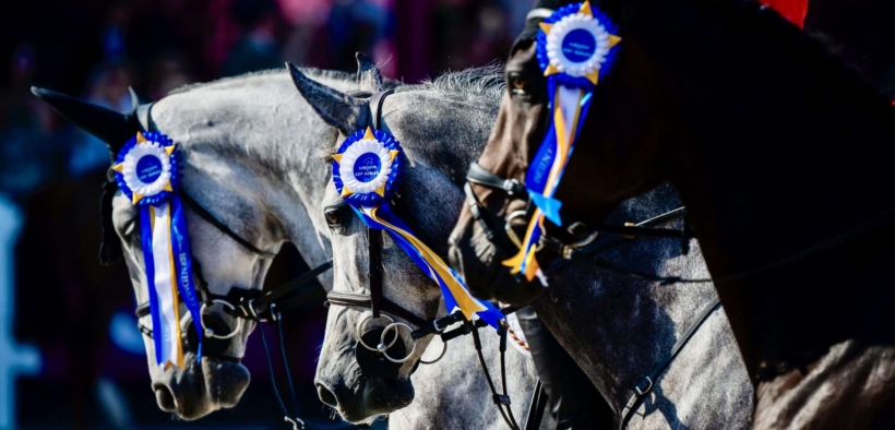 Avenches confermata come location della Finale EEF anche nel 2027