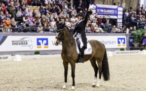 Coppa del mondo dressage: dominio belga a Neumünster con Pauluis in testa