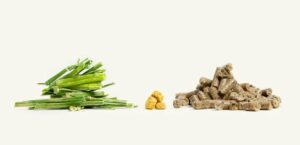 Cortal Horse: morbo di Cushing e alimentazione del cavallo 3