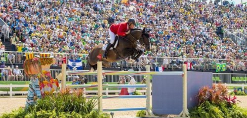 Dallo Sport all’Allevamento: stalloni top di salto ostacoli 10 anni dopo il loro apice