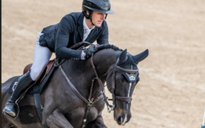 Giacomo Bassi al comando nel GP di San Giovanni in Marignano (CSI3*) 1