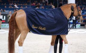 Grazie Chablis: l'addio di Valentina Truppa