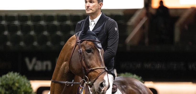 Mosito van het Hellehof