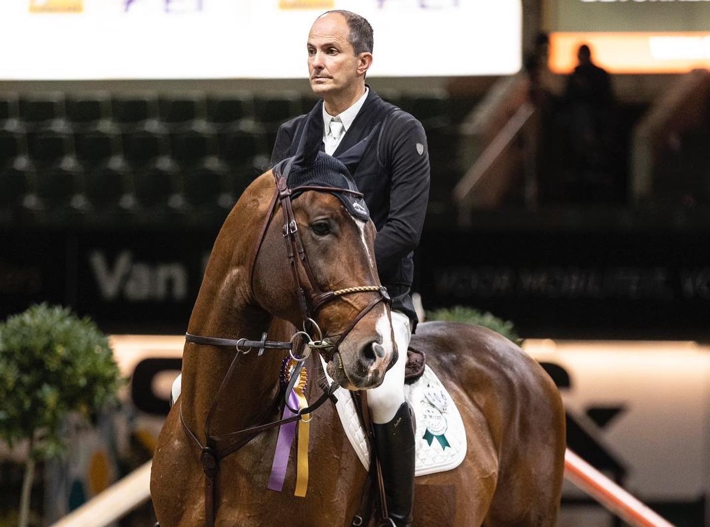 Mosito van het Hellehof