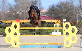 San Giovanni in Marignano: Emanuele Gaudiano firma il Grand Prix CSI2 *