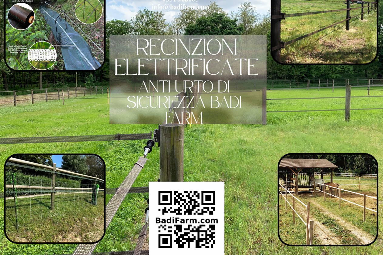 Scopri il mondo Badi Farm: tutto ciò che serve per il cavallo che vive all'aperto 1
