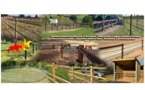 Scopri il mondo Badi Farm: tutto ciò che serve per il cavallo che vive all'aperto 2