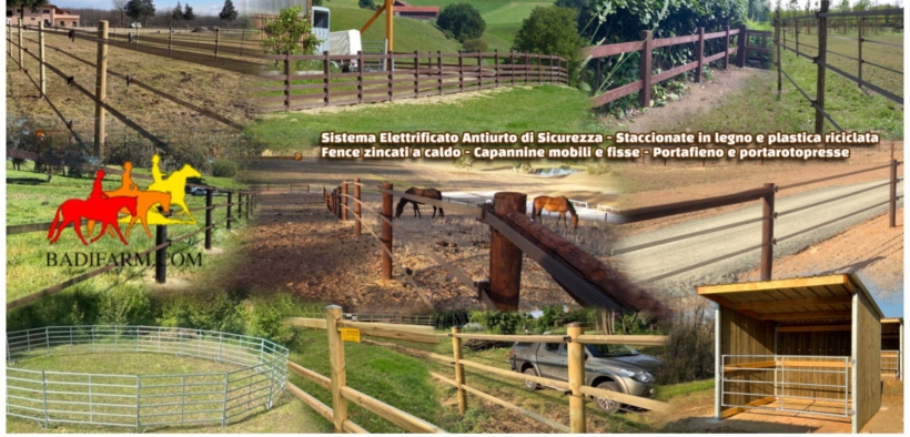 Scopri il mondo Badi Farm: tutto ciò che serve per il cavallo che vive all'aperto 2