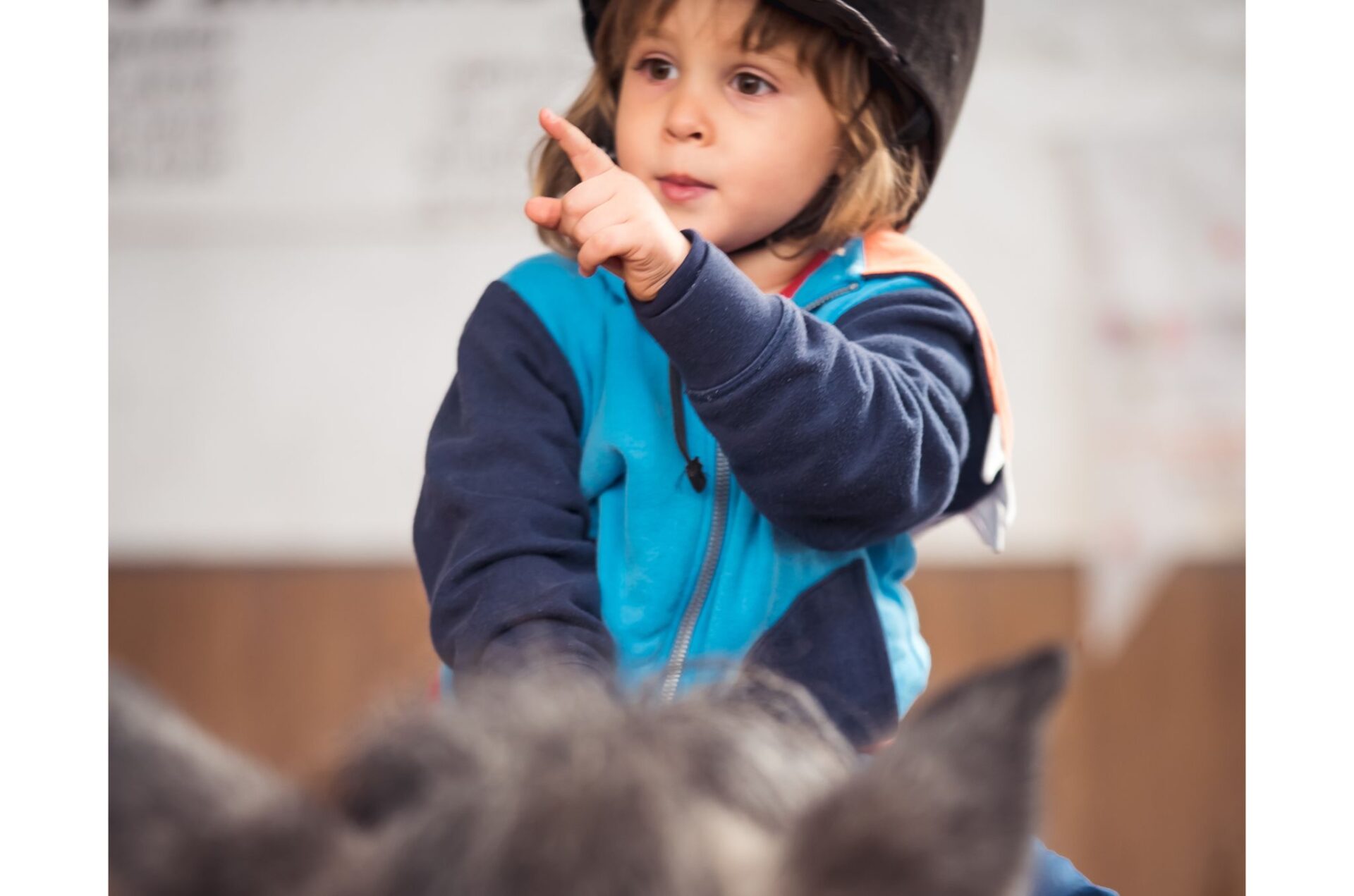 Avvio ad una nuova fase per il settore ludico: più gioco, multidisciplinarità e percorsi più chiari