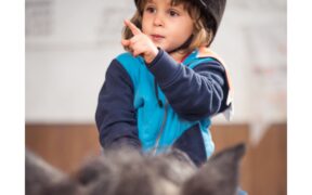 Avvio ad una nuova fase per il settore ludico: più gioco, multidisciplinarità e percorsi più chiari