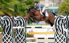 Bozza automatica 275