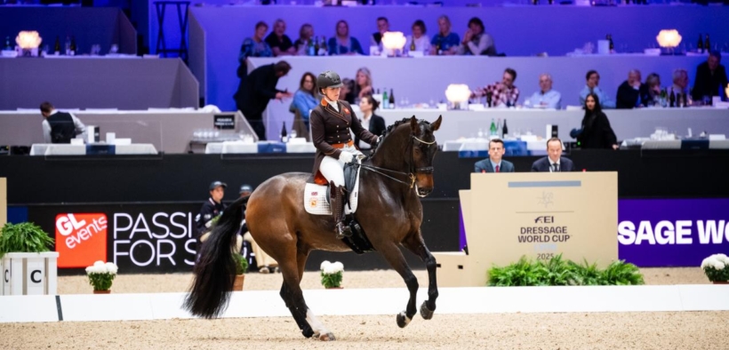 Bozza automatica 277