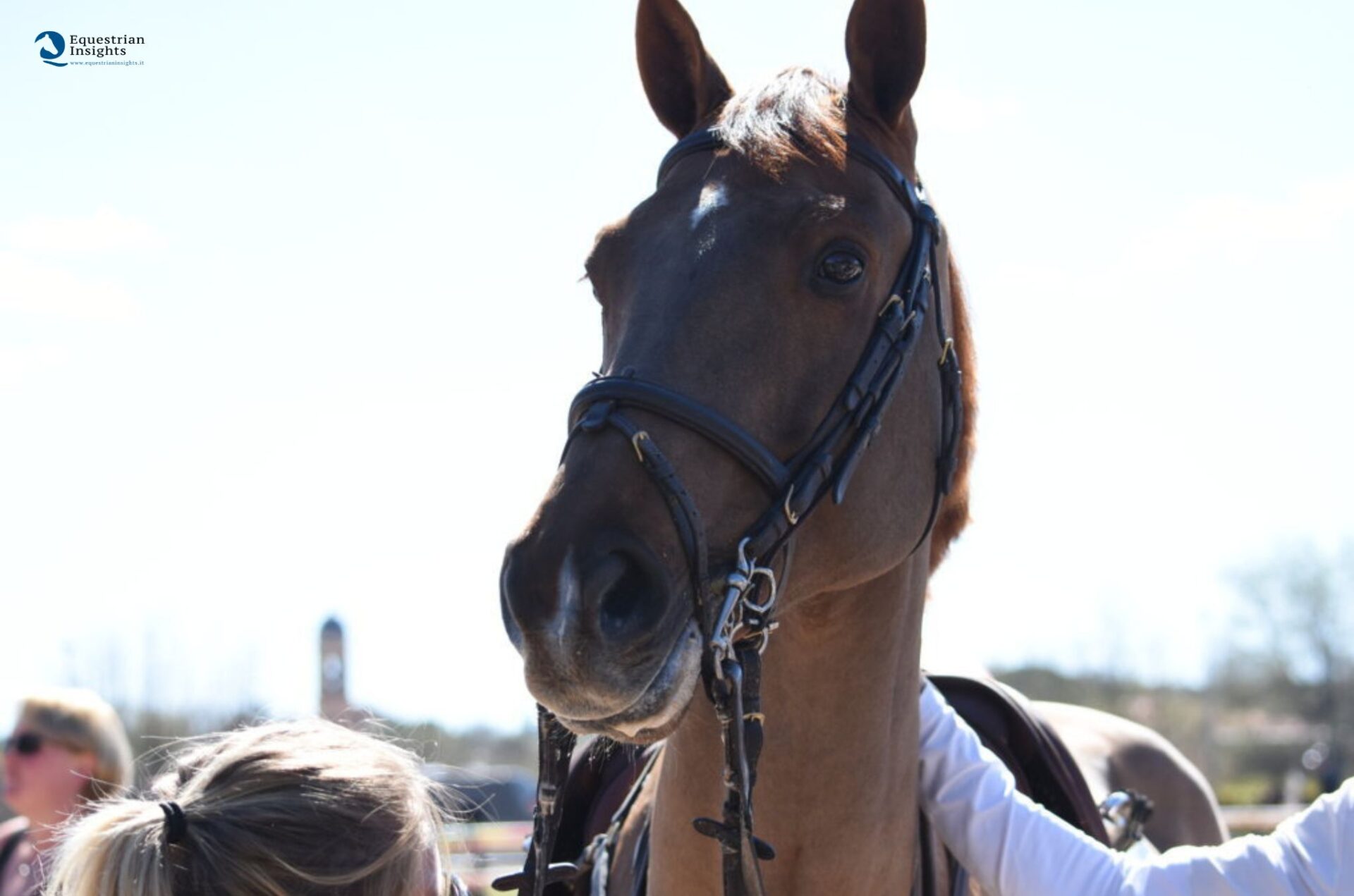 Capezzine troppo strette, uno studio britannico conferma anche l'impatto biomeccanico