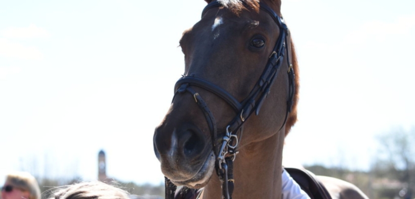 Capezzine troppo strette, uno studio britannico conferma anche l'impatto biomeccanico